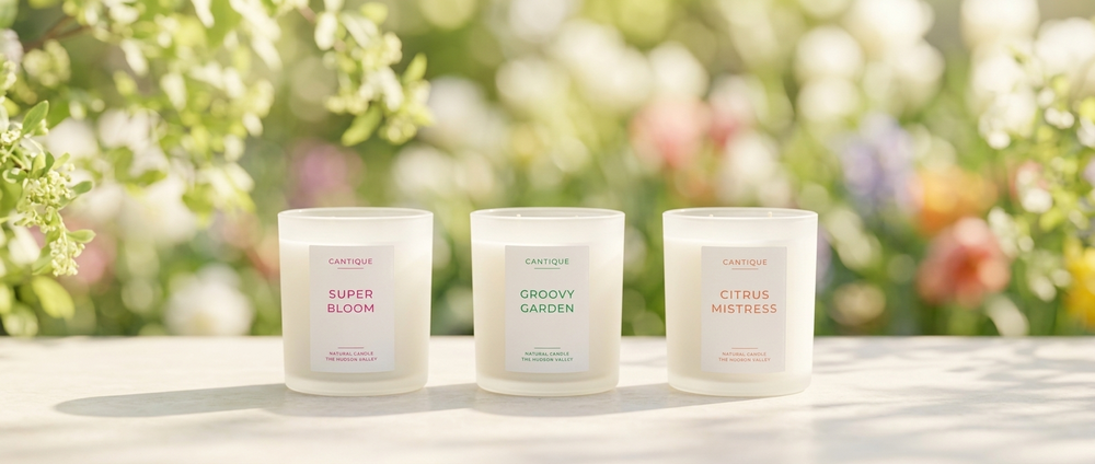 Winter Berry